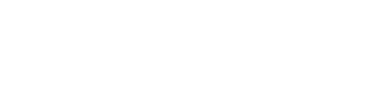 FastPlus